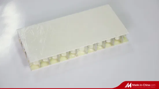 Lightweight Trailer 4X8 Fibreglass PP Plastic Composite Fiberglass Polypropylene Sandwich Honeycomb Core FRP Panels